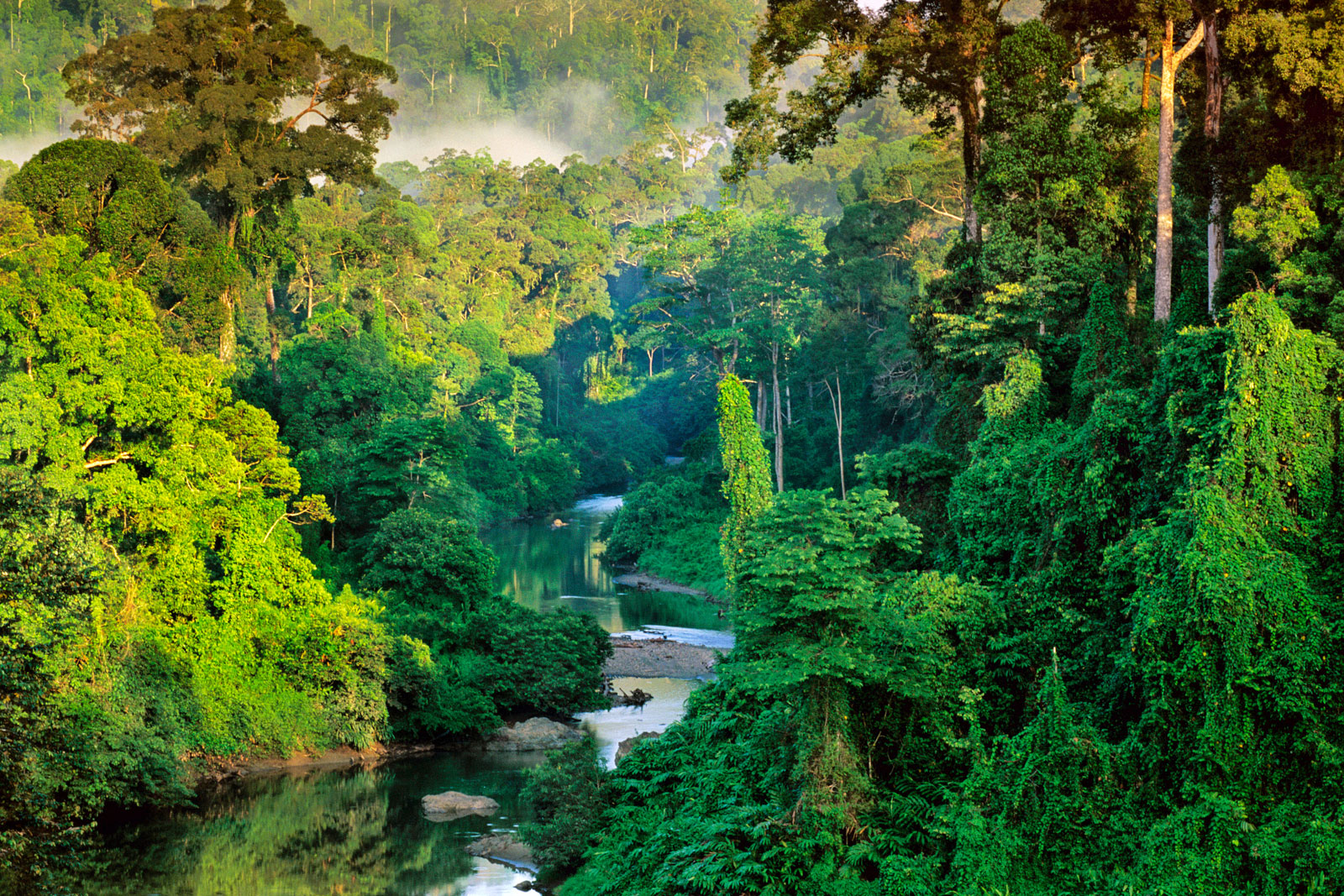 River in lowland rainforest, Danum Valley, Sabah, Borneo