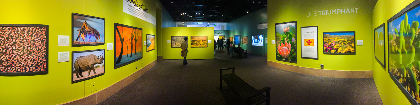 Visitors at Frans Lanting's Into Africa exhibit at the Smithsonian National Museum of Natural History, Washington D.C., USA