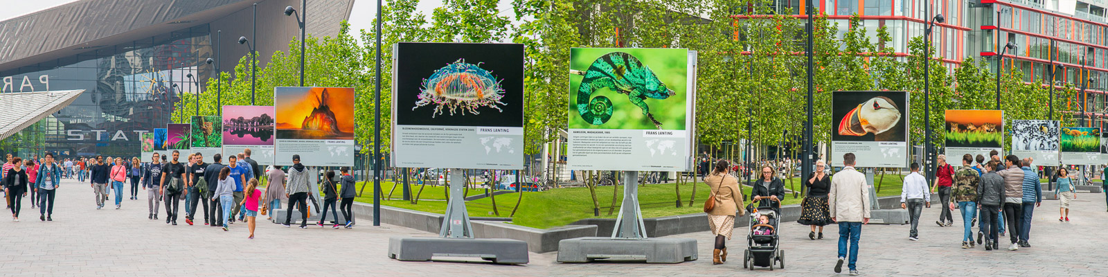 Visitors at Frans Lanting's Dialogues with Nature exhibit at the Nederlands Fotomuseum, Rotterdam, Netherlands