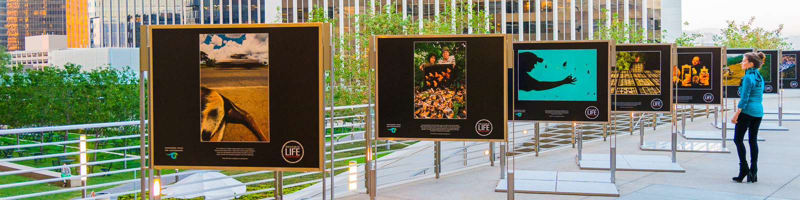 Frans Lanting's LIFE exhibit at the Annenberg Space for Photography, Los Angeles, California, USA