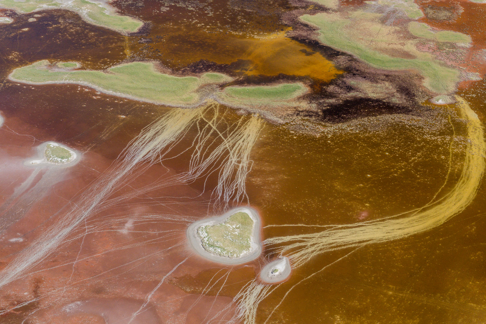 Animal tracks across algae filled pans, Makgadikgadi Pans, Botswana