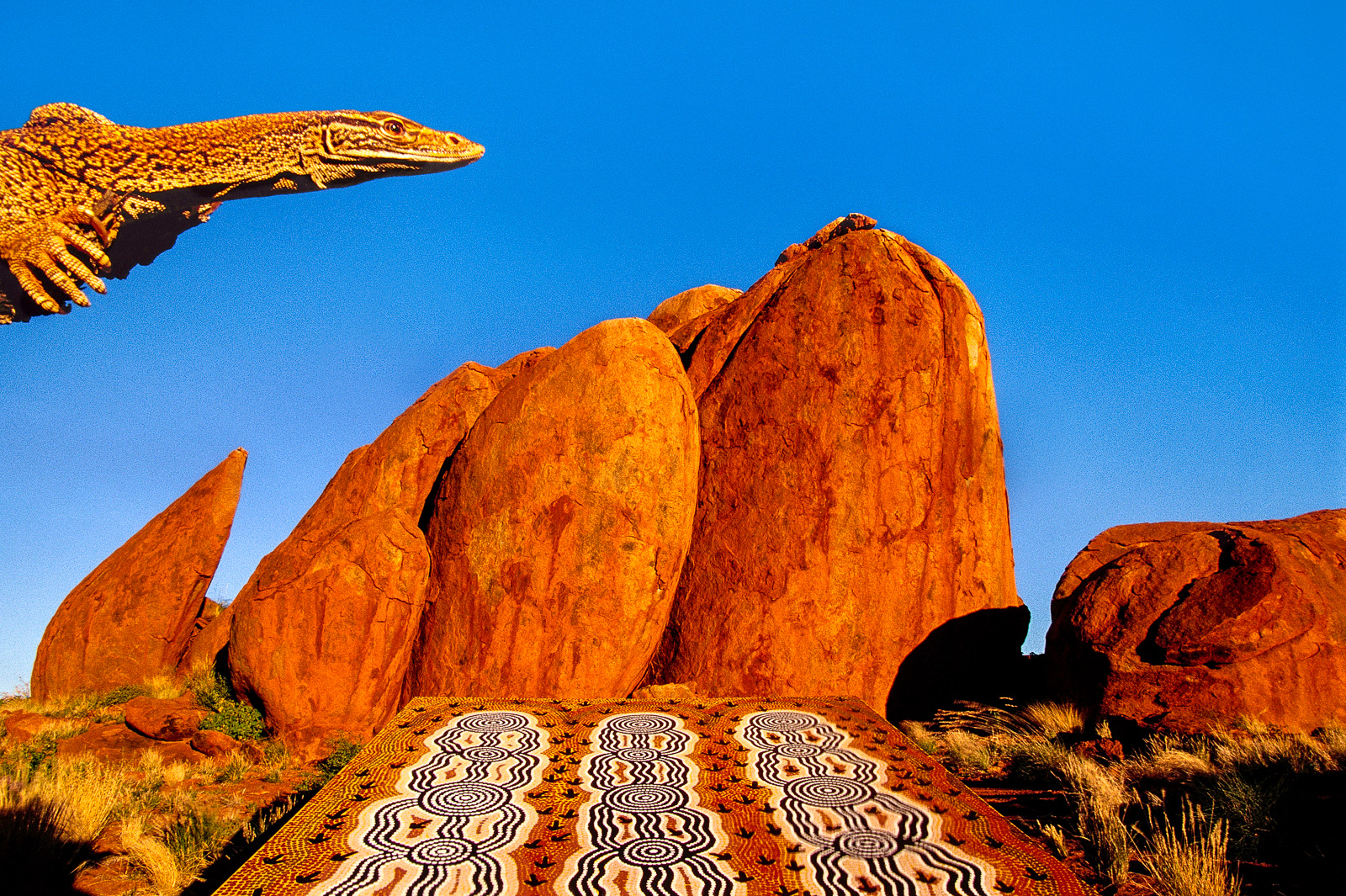 Goanna and aboriginal art, Central Australia