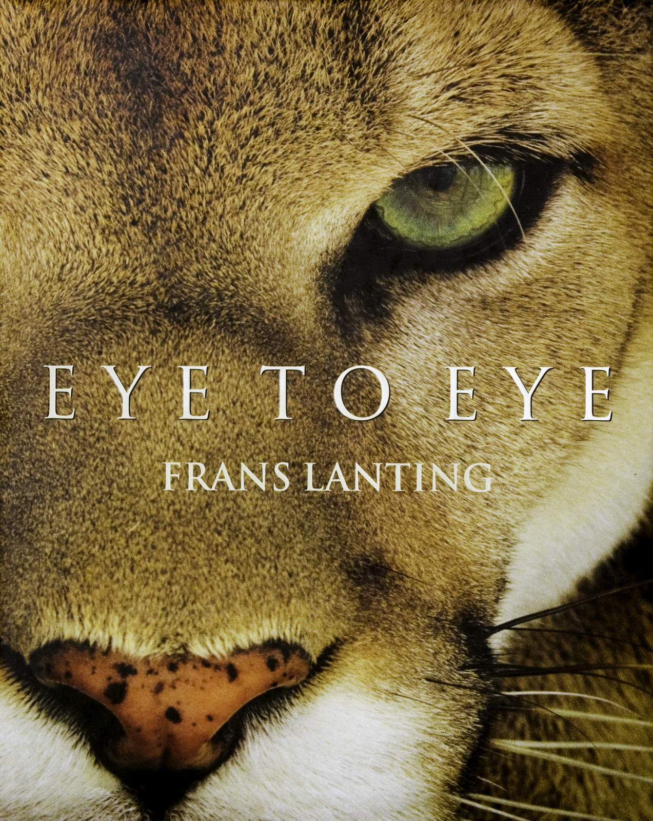 Eye to Eye Book Cover