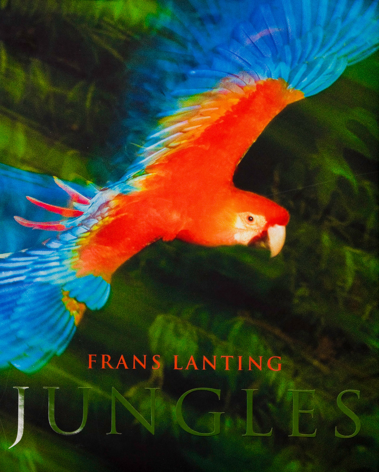 Jungles book cover
