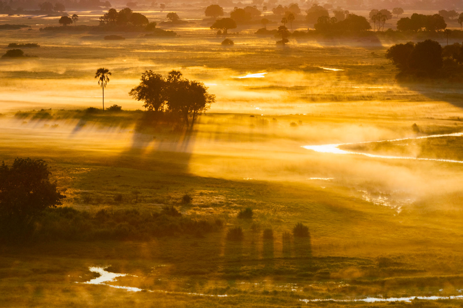 Mist at sunrise, Okavango Delta, Botswana