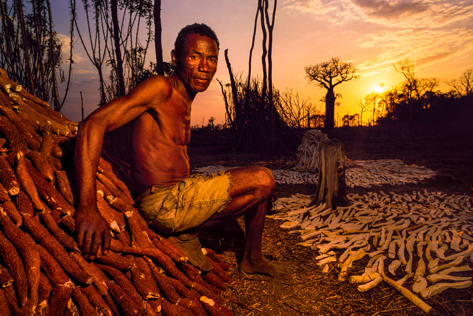 Squatter with manioc, Madagascar