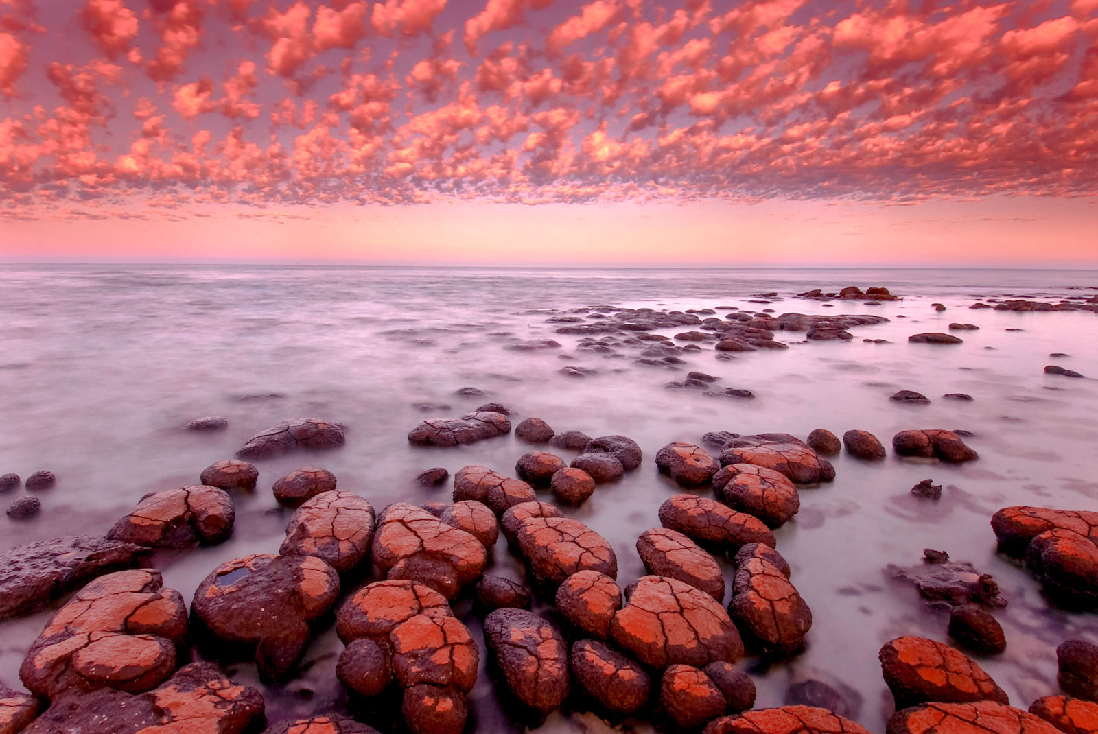 Stromatolites at dawn, Shark Bay, Western Australia