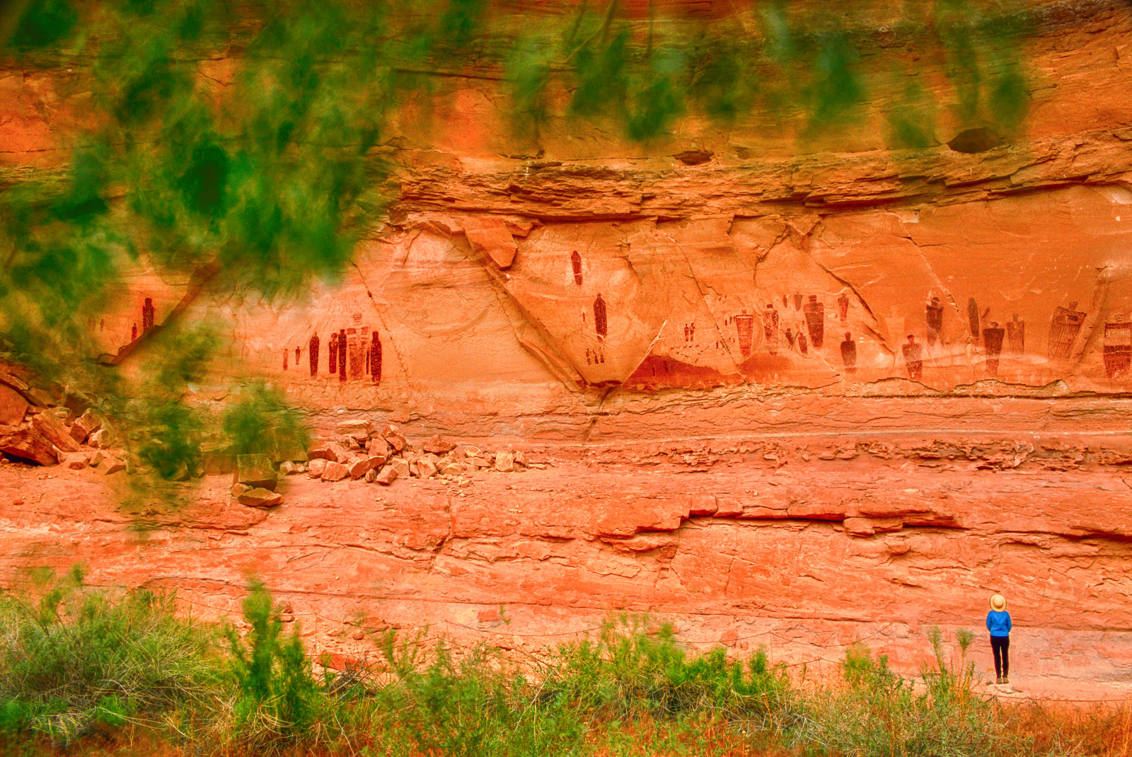 Visitor looking at rock art, Horseshoe Canyon, Canyonlands National Park, Utah, USA