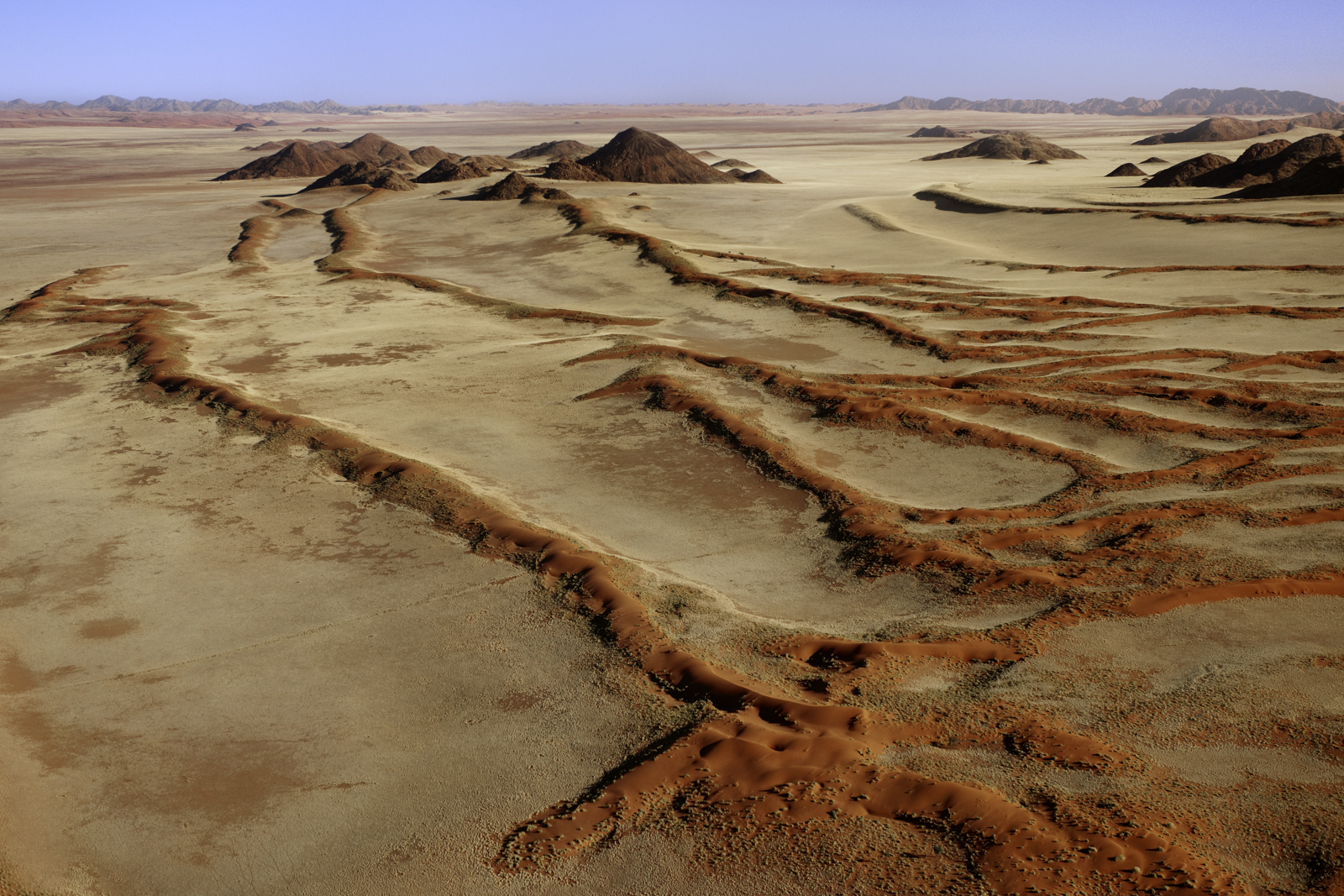 Vegetated sand dunes, NamibRand Nature Reserve, Namibia