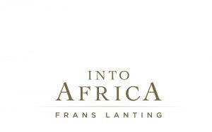 Frans Lanting Into Africa Book